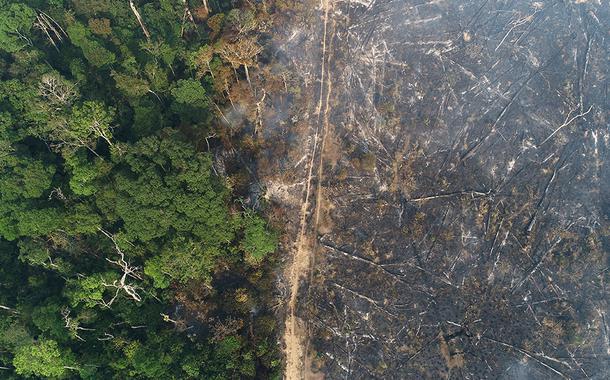 Amazônia registra em novembro o maior desmatamento em 10 anos